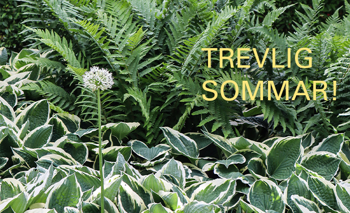 Karavan_Sommarhälsning 2022_Aktuellt